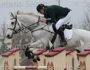 Campbell Catch Me TosTour 2013- S4 6844 : Arezzo Equestrian Centre, Campbell Gerard, Catch Me, Toscana Tour 2013, foto di Stefano Secchi ©